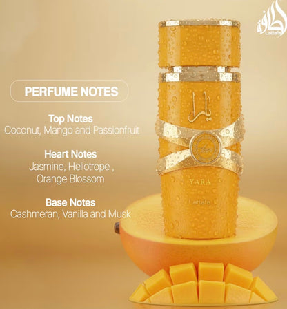 Yara Tous